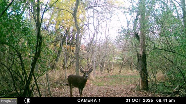 2983 OLD WINCHESTER RD, Boyce, VA 22620