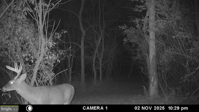 2983 OLD WINCHESTER RD, Boyce, VA 22620