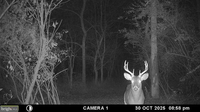 2983 OLD WINCHESTER RD, Boyce, VA 22620