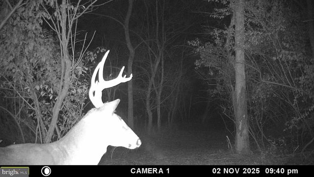 2983 OLD WINCHESTER RD, Boyce, VA 22620