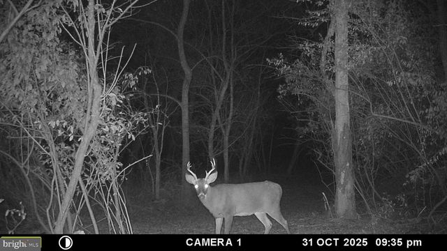 2983 OLD WINCHESTER RD, Boyce, VA 22620