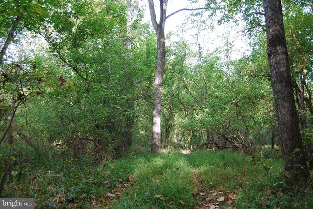 2983 OLD WINCHESTER RD, Boyce, VA 22620