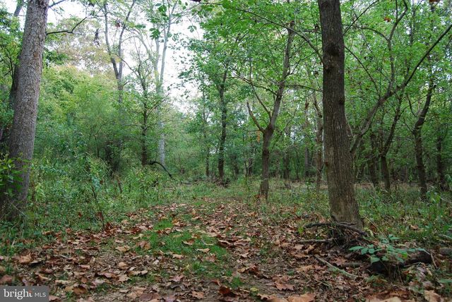 2983 OLD WINCHESTER RD, Boyce, VA 22620