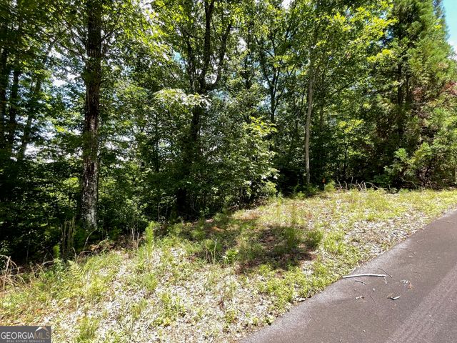 LOT 20 Fodder Creek Mill Drive, Hiawassee, GA 30546