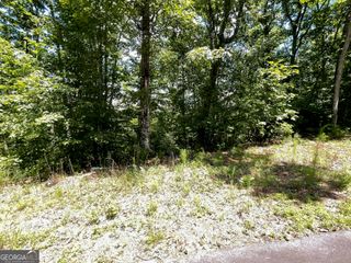 LOT 20 Fodder Creek Mill Drive, Hiawassee, GA 30546