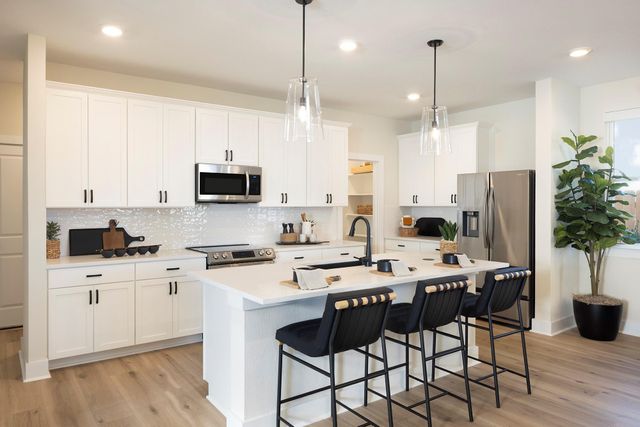 293 Langhorne BND, Liberty Hill, TX 78642