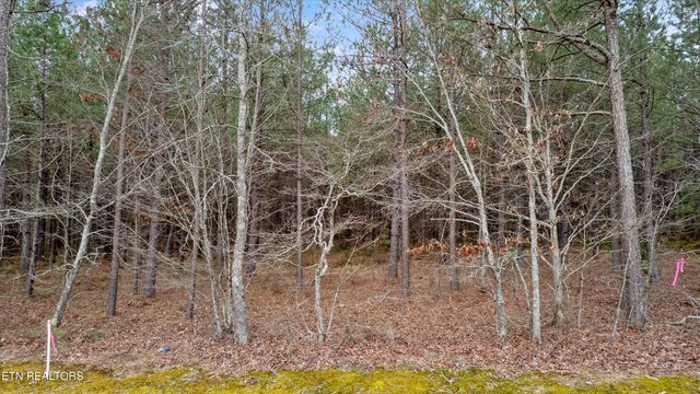 9438-0 Morgan County Hwy, Sunbright, TN 37872