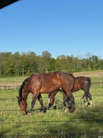 9680 N 220 E Road, Roanoke, IN 46783