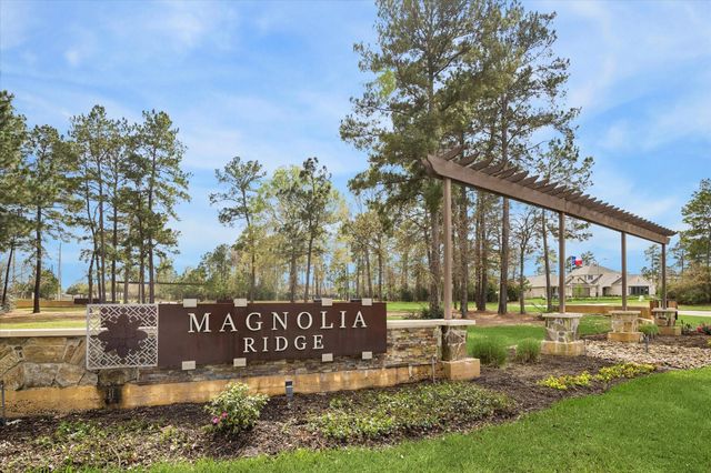 716 Autumn Cherry Trail, Magnolia, TX 77354