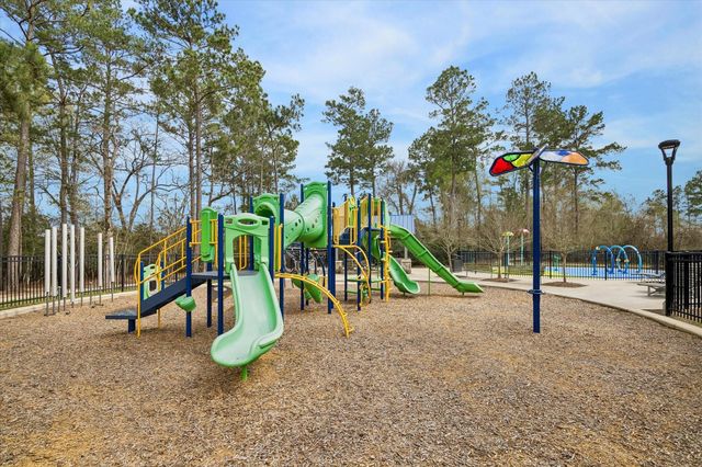 716 Autumn Cherry Trail, Magnolia, TX 77354