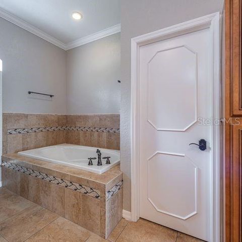 3902 HIDDEN SPRING PLACE, Valrico, FL 33596