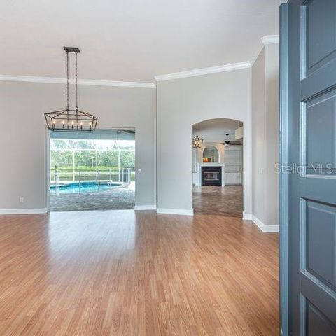 3902 HIDDEN SPRING PLACE, Valrico, FL 33596