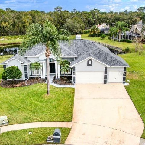 3902 HIDDEN SPRING PLACE, Valrico, FL 33596