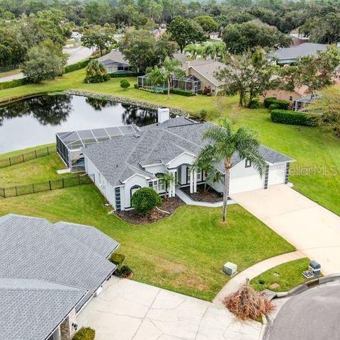 3902 HIDDEN SPRING PLACE, Valrico, FL 33596