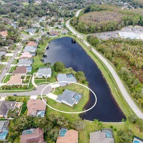 3902 HIDDEN SPRING PLACE, Valrico, FL 33596