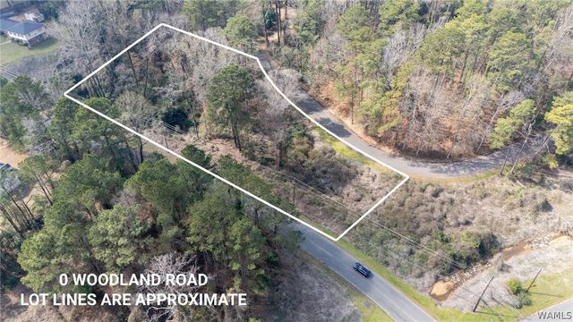 00- Woodland, Tuscaloosa, AL 35405