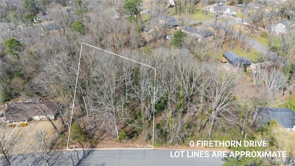 00- Woodland, Tuscaloosa, AL 35405