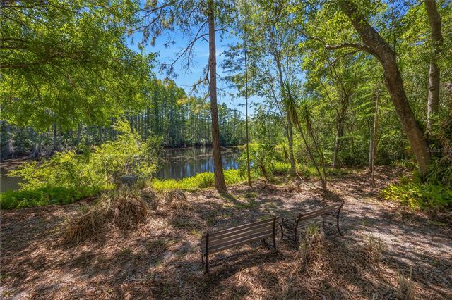 18324 JORENE ROAD, Odessa, FL 33556