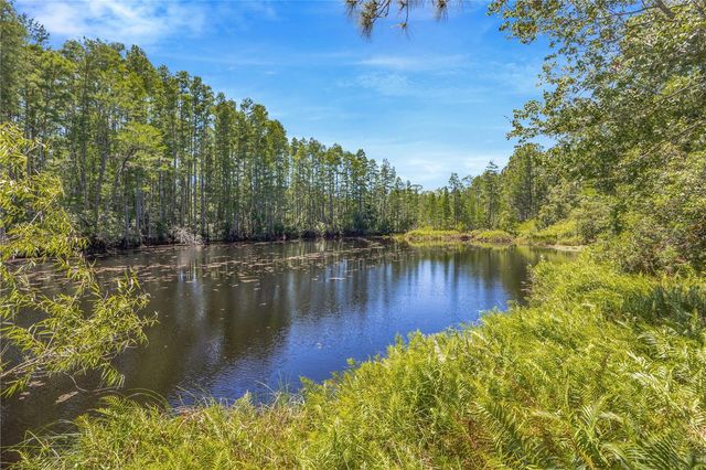 18324 JORENE ROAD, Odessa, FL 33556