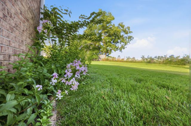 250 Savannah Drive, Nicholasville, KY 40356