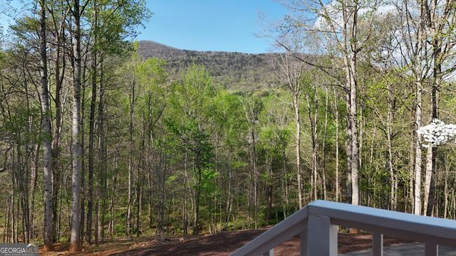 354 Prairie Flower Drive, Cleveland, GA 30528