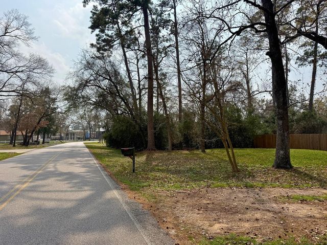 30227 E Geneva Dr, The Woodlands, TX 77386