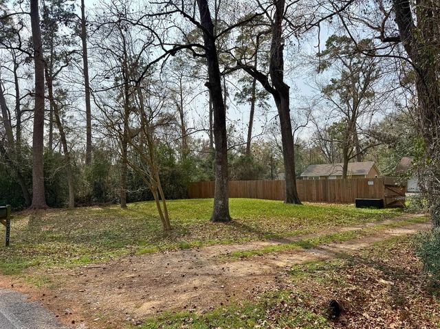 30227 E Geneva Dr, The Woodlands, TX 77386