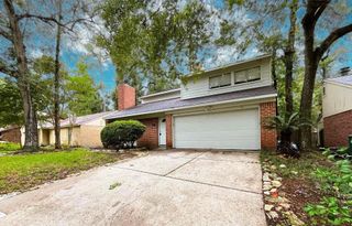 17 Briervine Court, Spring, TX 77381