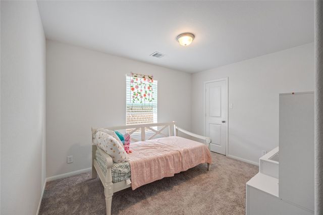 19019 Blossoming Buttercup Drive, Tomball, TX 77377