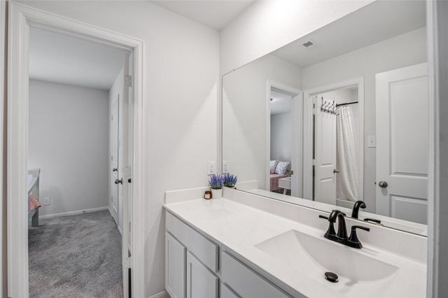 19019 Blossoming Buttercup Drive, Tomball, TX 77377