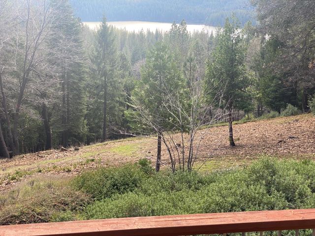 1231 Garnet Ct, Pollock Pines, CA 95726