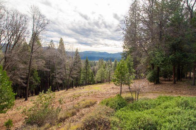 1231 Garnet Ct, Pollock Pines, CA 95726