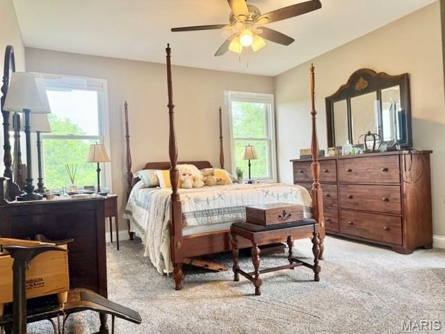 132 Gala Drive, Hannibal, MO 63401