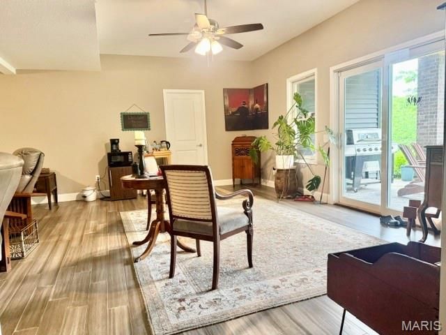 132 Gala Drive, Hannibal, MO 63401