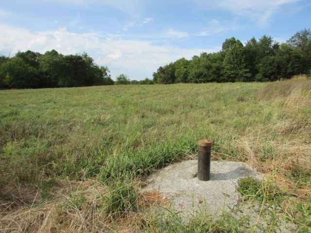 Tr 1 N Metzletein Road, Billings, MO 65610