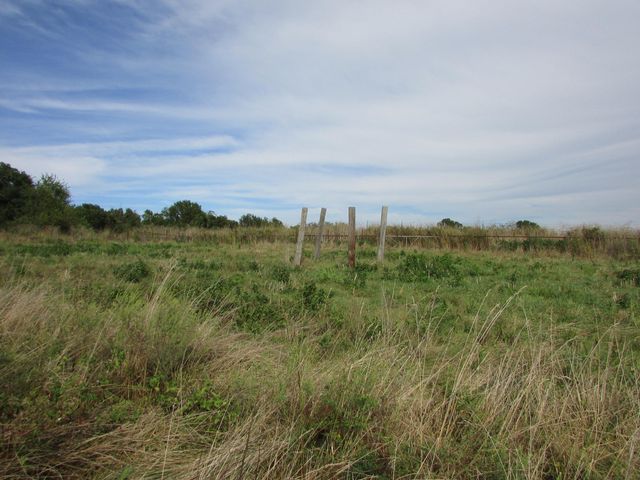 Tr 1 N Metzletein Road, Billings, MO 65610