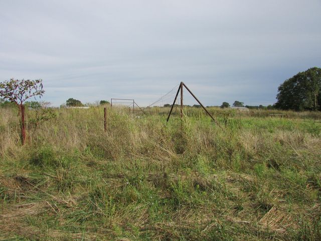 Tr 1 N Metzletein Road, Billings, MO 65610