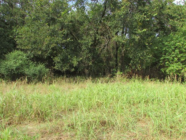 Tr 1 N Metzletein Road, Billings, MO 65610