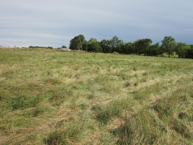 Tr 1 N Metzletein Road, Billings, MO 65610