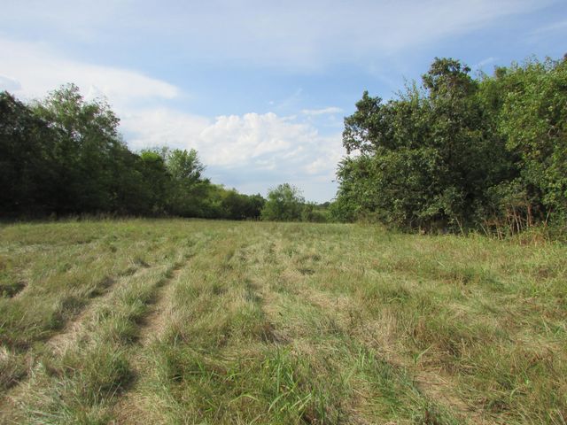 Tr 1 N Metzletein Road, Billings, MO 65610