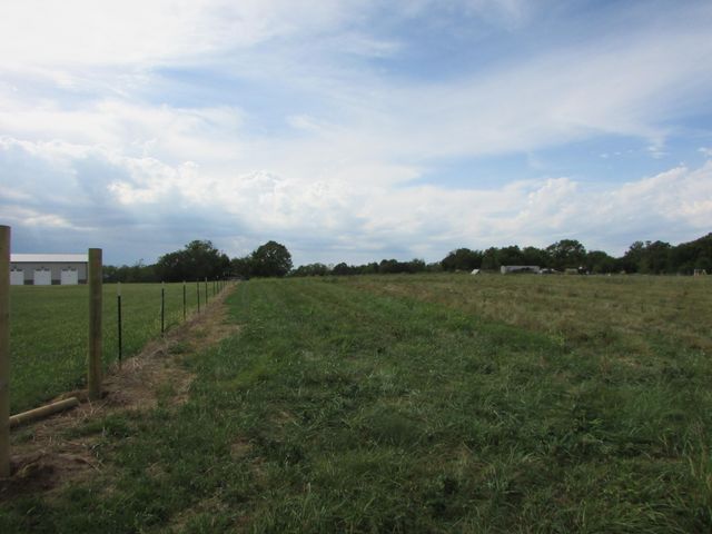 Tr 1 N Metzletein Road, Billings, MO 65610