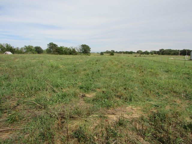 Tr 1 N Metzletein Road, Billings, MO 65610