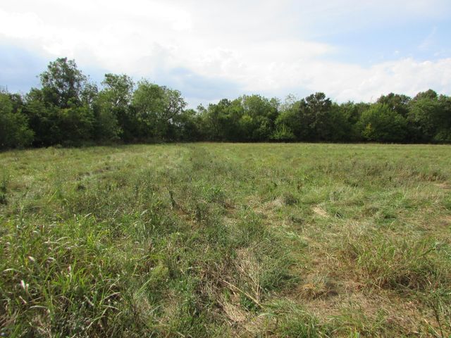 Tr 1 N Metzletein Road, Billings, MO 65610