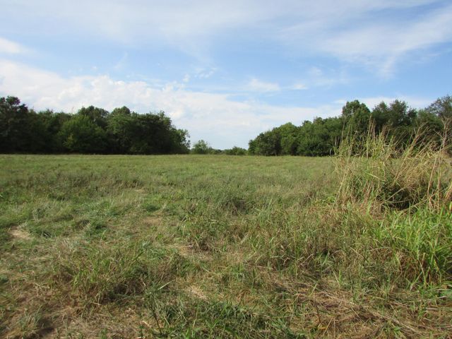 Tr 1 N Metzletein Road, Billings, MO 65610