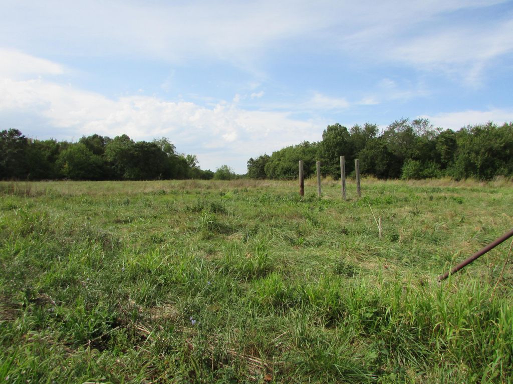 Tr 1 N Metzletein Road, Billings, MO 65610