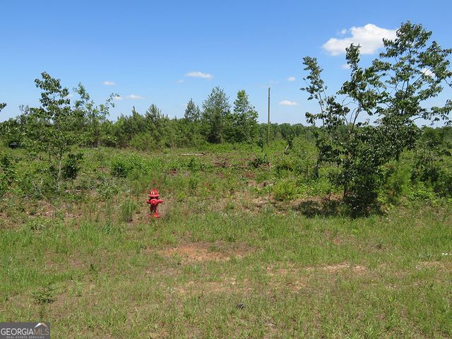 1 Goolsby Road, Ellaville, GA 31806