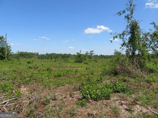 1 Goolsby Road, Ellaville, GA 31806