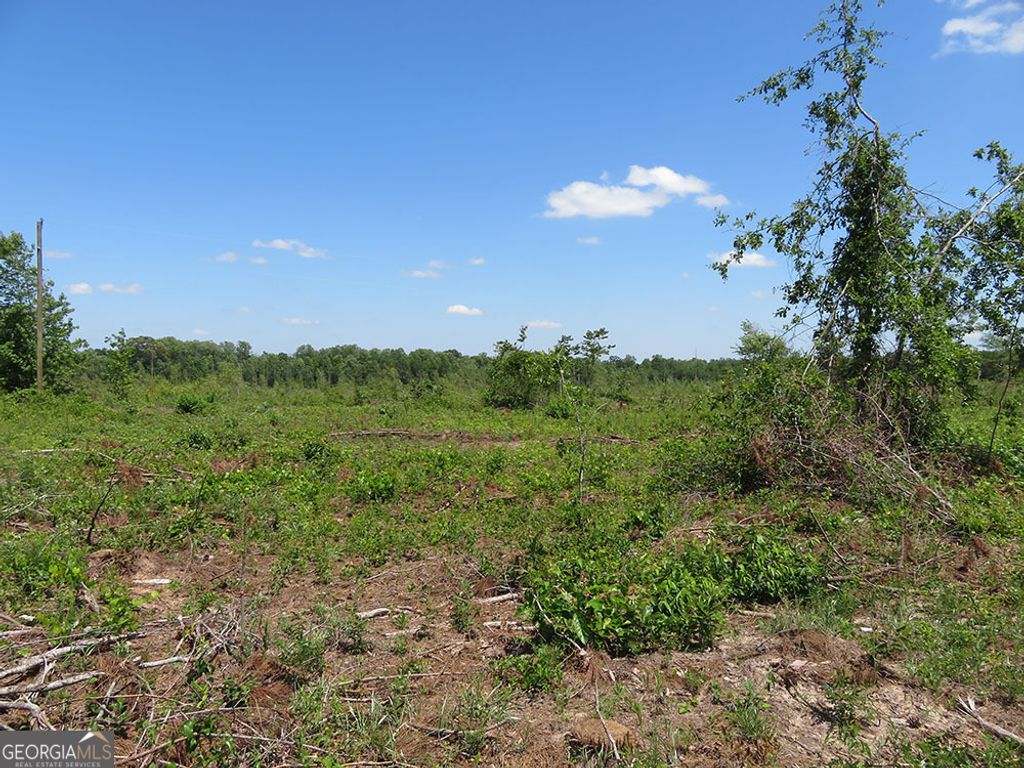 1 Goolsby Road, Ellaville, GA 31806