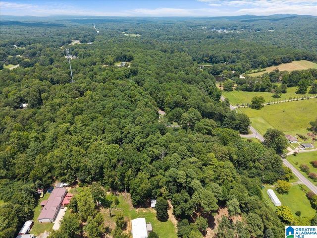 4427 BRADFORD HOPEWELL ROAD, Pinson, AL 35126