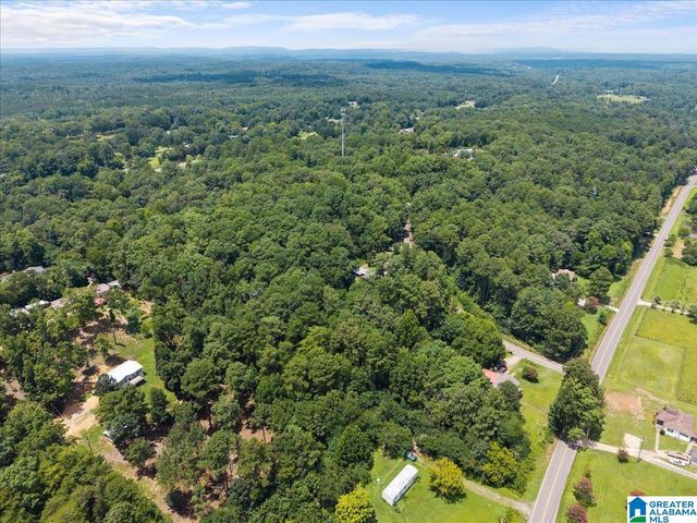 4427 BRADFORD HOPEWELL ROAD, Pinson, AL 35126